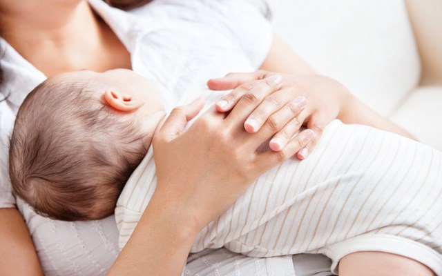 Προοπτικές στη μεταμόσχευση μήτρας: Μια ζωοποιός μεταμόσχευση