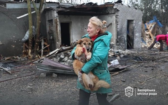 Ουκρανία: Ρωσικό drone έπληξε καταφύγιο ζώων, περίπου 10 είναι νεκρά