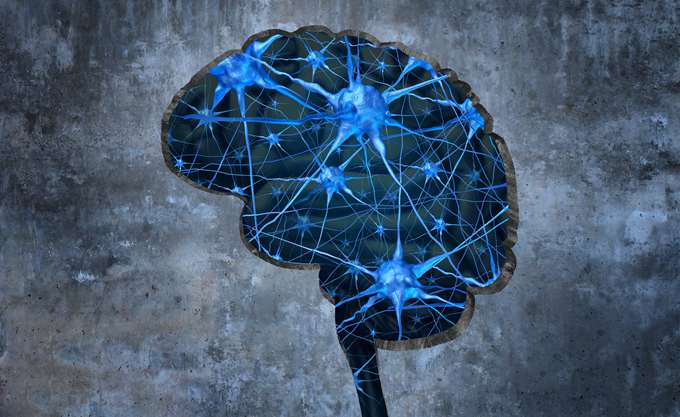 Κίνα: Επιστήμονες εμφύτευσαν ένα ανθρώπινο γονίδιο στον εγκέφαλο πιθήκων για να μελετήσουν τη νοημοσύνη στον άνθρωπο