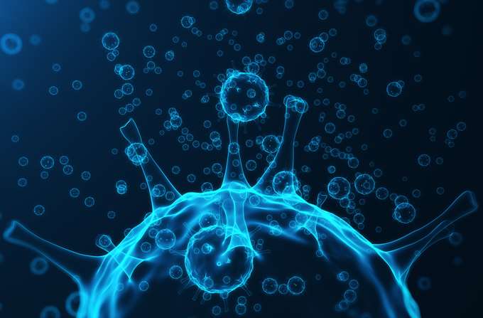 ιός γρίπη λοιμώξεις