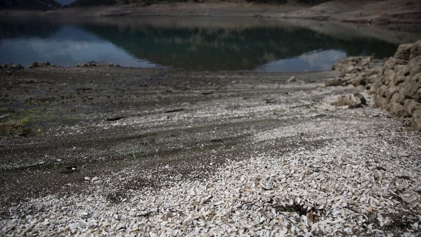 Η Μεσόγειος στεγνώνει: Τα διεθνή καμπανάκια προειδοποιούν την Ελλάδα