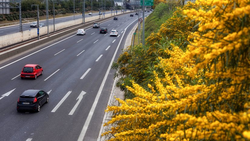 Του πήραν το δίπλωμα για 395 μέρες-Δείτε τι έκανε στην Αττική Οδό