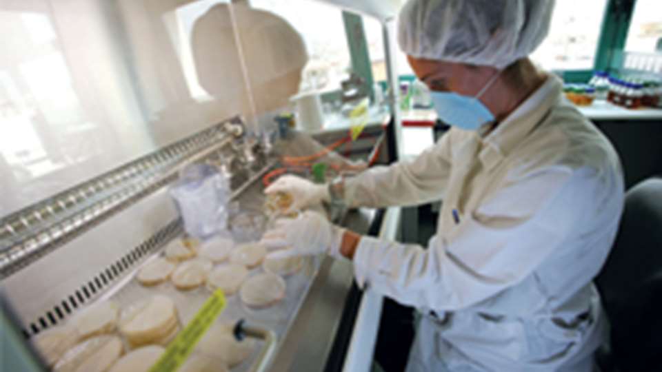 Frezyderm: Ελληνικά δερμοκαλλυντικά σε 50 χώρες - Πού &quot;ανεβάζει&quot; μερίδια