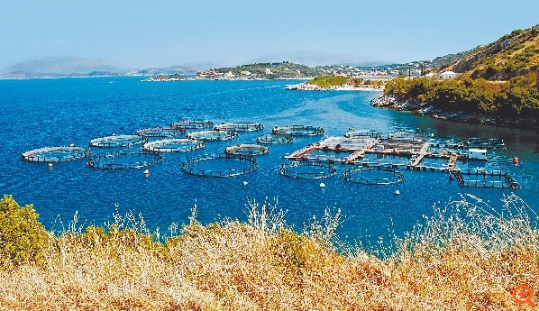 Ολική επαναφορά για ακτοπλοΐα, ιχθυοκαλλιέργειες