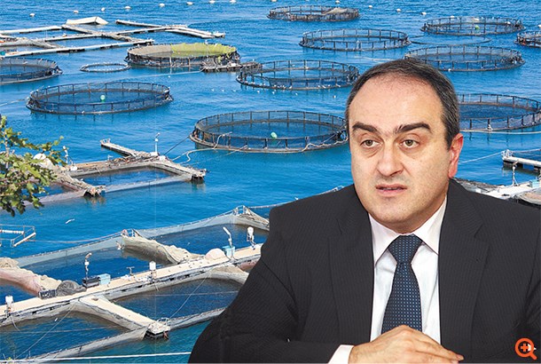 Ιχθυοκαλλιέργειες: Αντίστροφη μέτρηση για συγχωνεύσεις